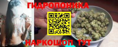 сатива Свободный
