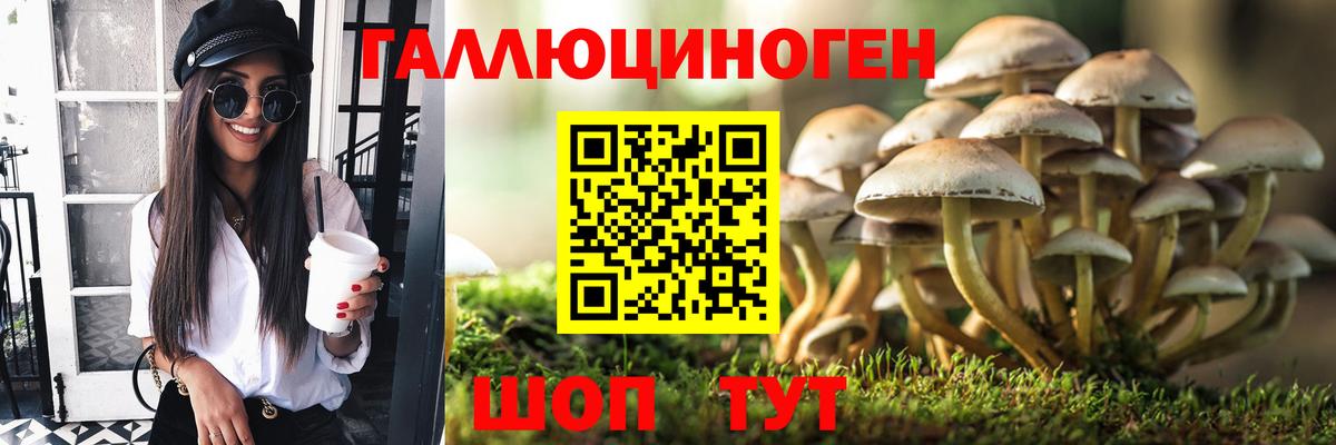 Галлюциногенные грибы MAGIC MUSHROOMS Новодвинск